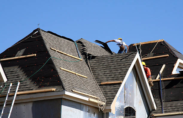 Best Gutter Installation and Roofing  in Le Claire, IA